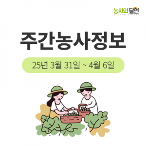 첨부이미지