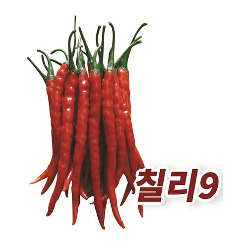 고추씨앗 칠리9(30립,10g) - 빼빼로 고추