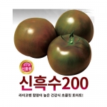 토마토씨앗 신흑수200(100립,1000립) - 검은 토마토