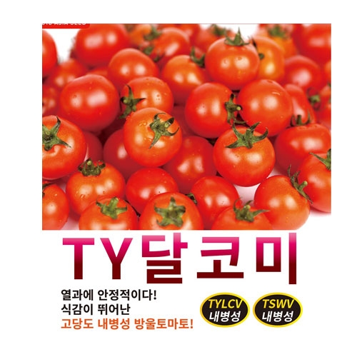 토마토씨앗 TY달코미(100립,1000립) - 내병성방울토마토