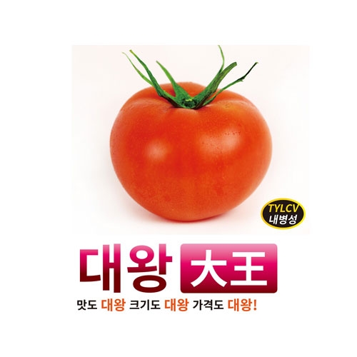 토마토씨앗 대왕(100립,1000립) - 무한생장형 완숙토마토