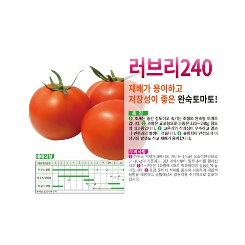 토마토씨앗 러브리240(1000립) - 완숙 토마토