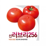 토마토씨앗 신러브리256(20립,1000립)-완숙토마토