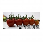토마토씨앗 딸기 토마토(50립) - 딸기 모양 토마토