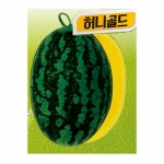 수박씨앗 허니골드(200립) - 녹피황육 수박