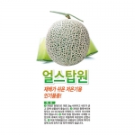 멜론씨앗 얼스탑원(100립) - 저온기용 인기품종