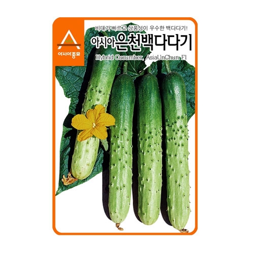 오이씨앗 아시아은천백다다기(50립,500립,100g)