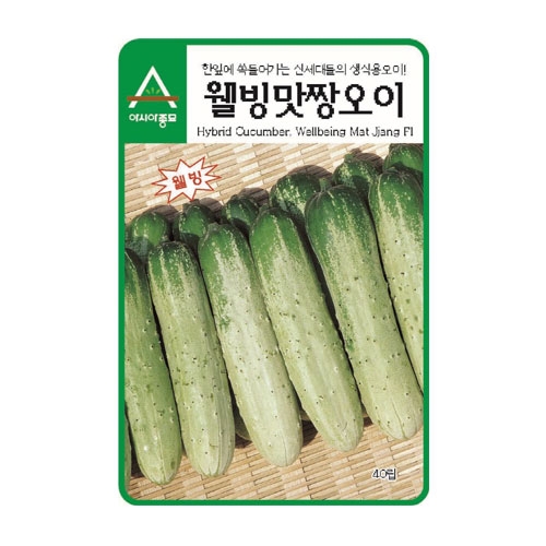 오이씨앗 웰빙맛짱오이(40립,500립)-노각,생식용오이