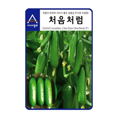 오이씨앗 처음처럼(100립)-우수상품 조생종오이