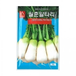 무씨앗 월춘봄알타리(20g,500g) - 봄알타리