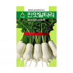 무씨앗 진맛알타리(20g,500g)-총각김치,동치미용