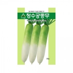 무씨앗 청수궁중무(30g)-밀식재배무