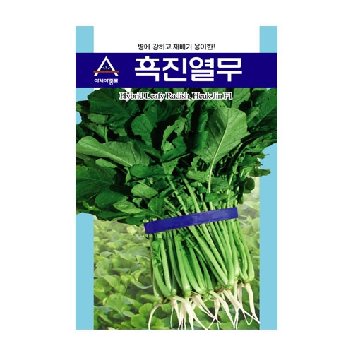 무씨앗 흑진열무(30g,600g) - 재배용이