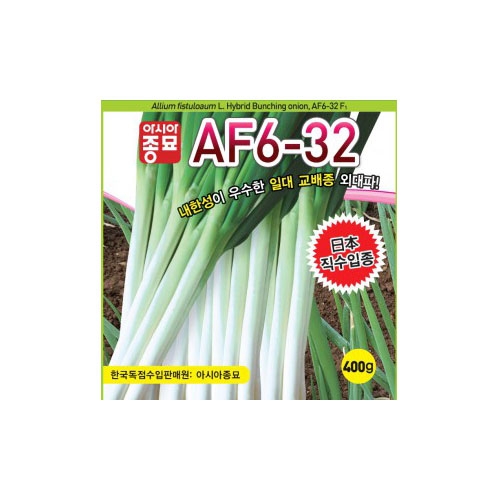 파/부추씨앗 AF6-32(400g) - 외대파