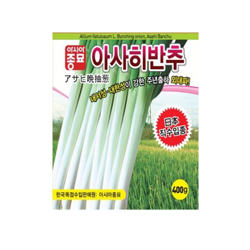 파/부추씨앗 아사히반추(80g,400g) - 외대파