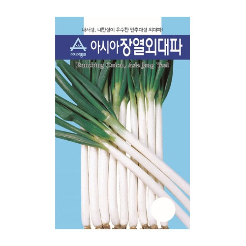 파/부추씨앗 아시아장열외대파(80g,400g) - 외대파