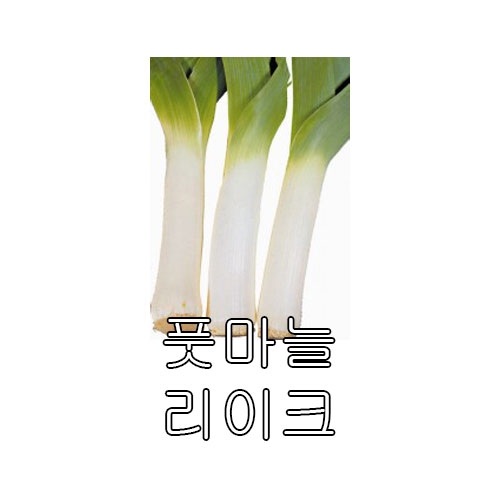 풋마늘종자씨앗 풋마늘*리이크(10g)