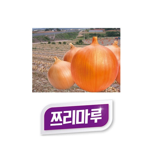 양파씨앗종자 쯔리마루(25000립) - 다수확종