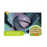 양배추씨앗종자 루비마트양배추(2500립)-조생종