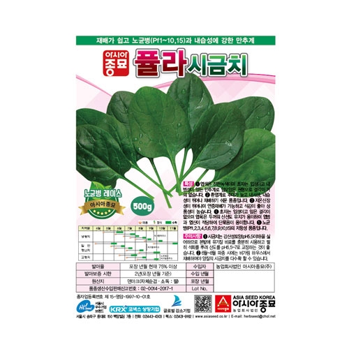시금치씨앗 퓰라시금치(500g) - 교배종