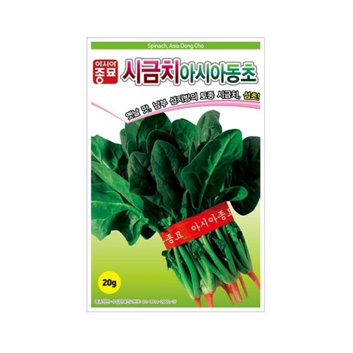 시금치씨앗 아시아동초시금치(20g,400g)-월동시금치