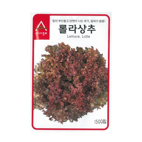 상추씨앗 롤라상추(1500립,6만립)-잎따기겸용
