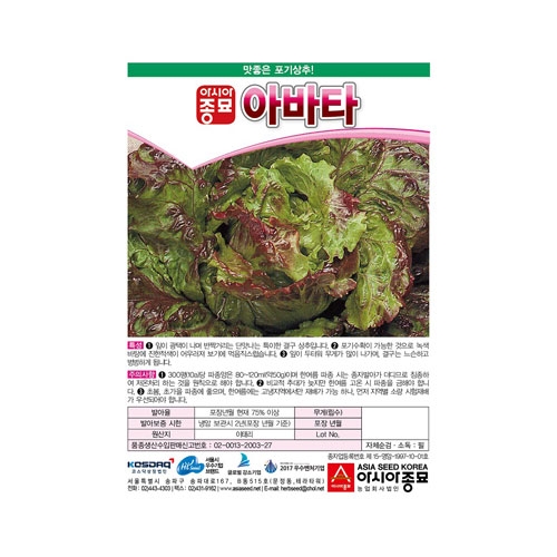 상추씨앗 아바타 상추(1000립,50g)-포기상추