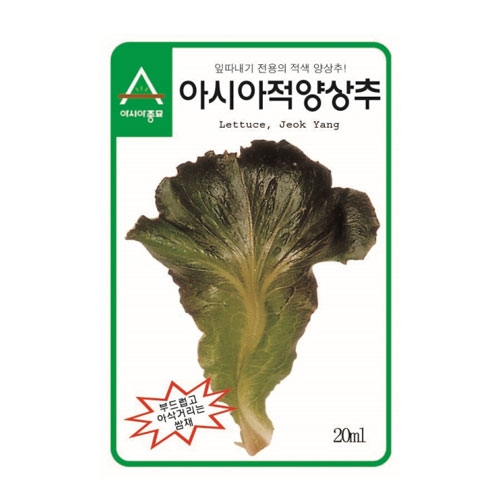 상추씨앗 아시아적양상추(1500립)-잎따내기 전용