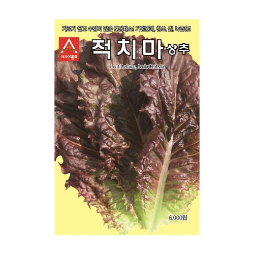 상추씨앗 아시아적치마(3000립,6000립,6만립)