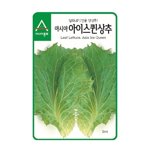 상추씨앗 아이스퀸(청코스)(1500립) - 잎따내기전용