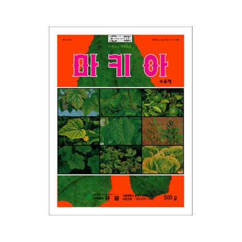 유일 마키아 500g - 노란잎을 초록잎으로 싱싱하게