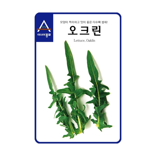 상추씨앗 청오크-오크린(1500립,6만립) - 다수확종