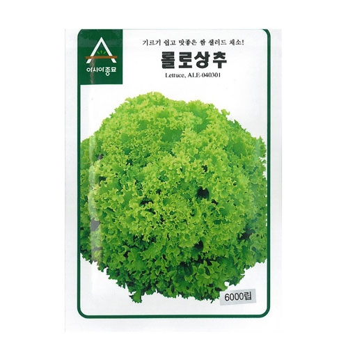 상추씨앗 청축면상추-롤로(6000립) - 샐러드 채소