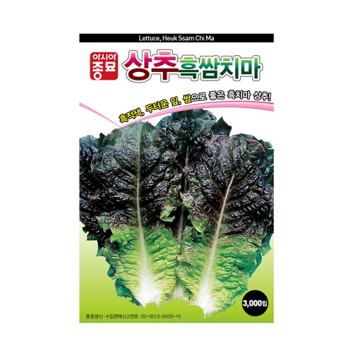 상추씨앗 흑쌈치마(3000립,6만립) - 쌈채소