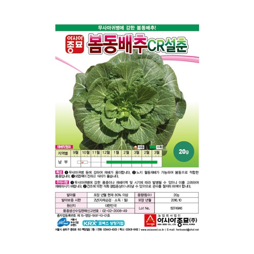 배추씨앗 CR설춘(20g,500g) - 봄동배추