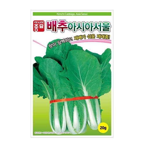 배추씨앗 아시아서울배추 (20g,500g) - 재래종