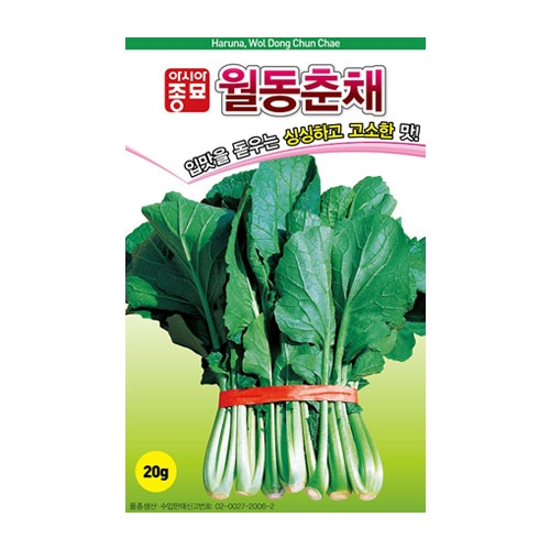 배추씨앗 월동춘채배추 (20g,500g)