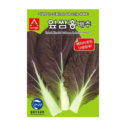 배추씨앗 잎쌈홍배추 (500립,2000립) - 잎따내기 전용