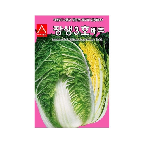 배추씨앗 장생3호배추 (1000립,2000립) - 김장배추