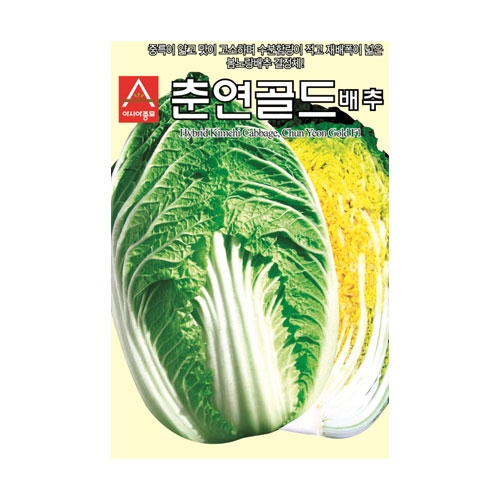배추씨앗 춘연골드배추 (2000립) - 봄노랑배추