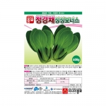 청경채씨앗 싱싱보너스 (600g) - 고온기용