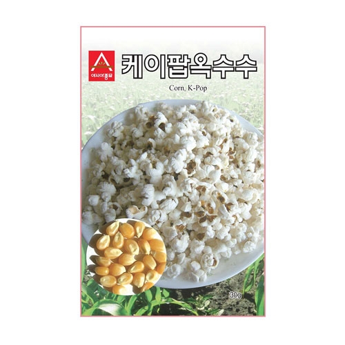 옥수수씨앗 케이팝옥수수(20g,400g) - 팝콘용옥수수