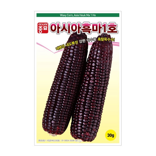 옥수수씨앗 아시아흑마1호(30g,700g) - 흑찰옥수수