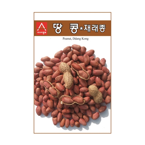콩씨앗 땅콩(30g,500g) - 재래종 땅콩
