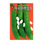 콩씨앗 아시아백도두 (5립,50g,500g) - 작두콩