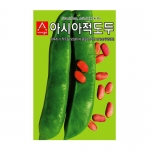 콩씨앗 아시아적도두 (5립,50g,500g) - 작두콩