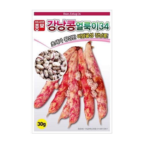 콩씨앗 얼룩이34 강낭콩 (30g,600g) - 강낭콩