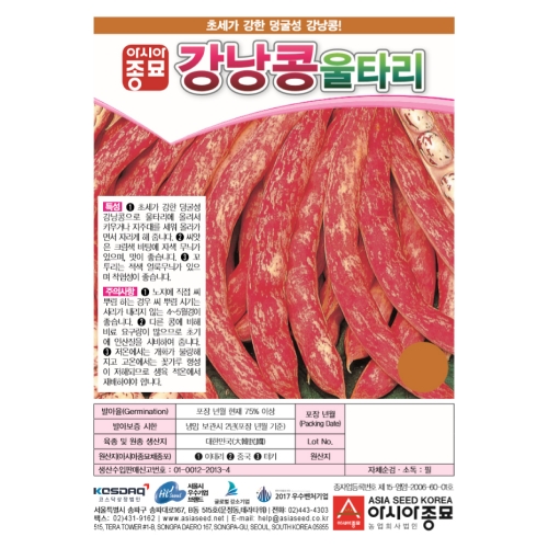 콩씨앗 울타리 강낭콩 (20g,600g) - 강낭콩