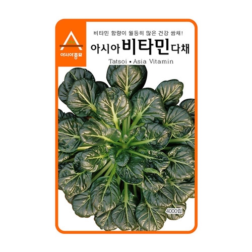 다채씨앗 비타민 (4000립,600g) - 건강 쌈채