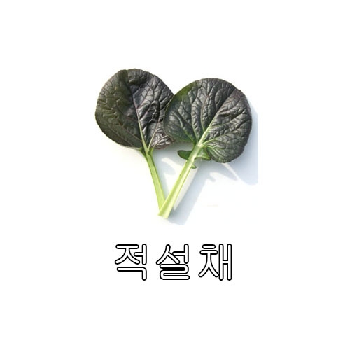 다채씨앗 적설채 (4000립) - 잎따내기 전용